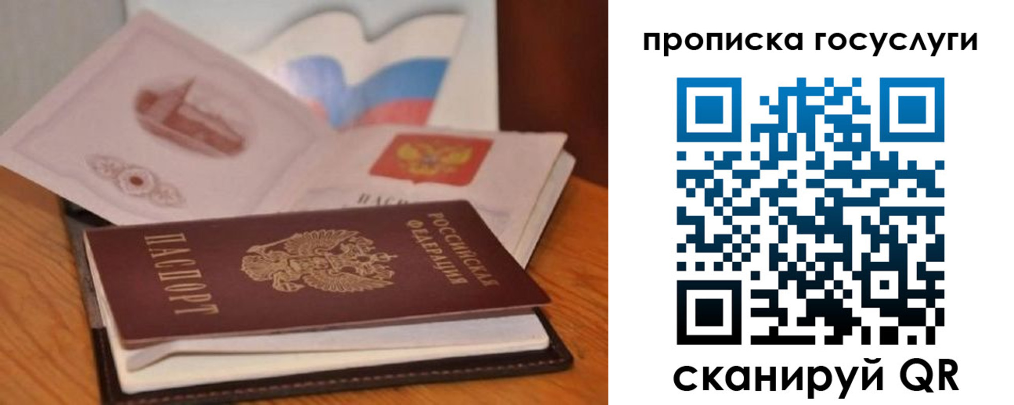 прописка в квартире в Черноголовке